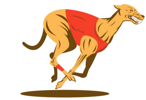 Greyhound racing markets supported through BPExch ID