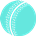 BPExch BetPro Cricket Icon 36 36