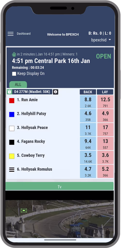 BPExch BetPro Exchange Greyhound Markets and Odds Screen Mockup