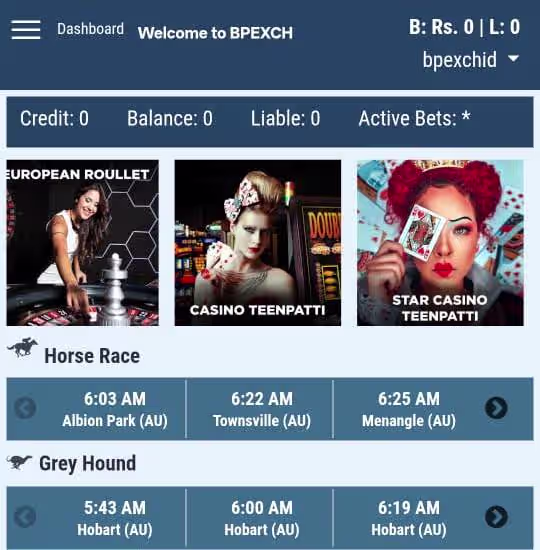 Login 16 BetPro Account Overview Dashboard Screenshot