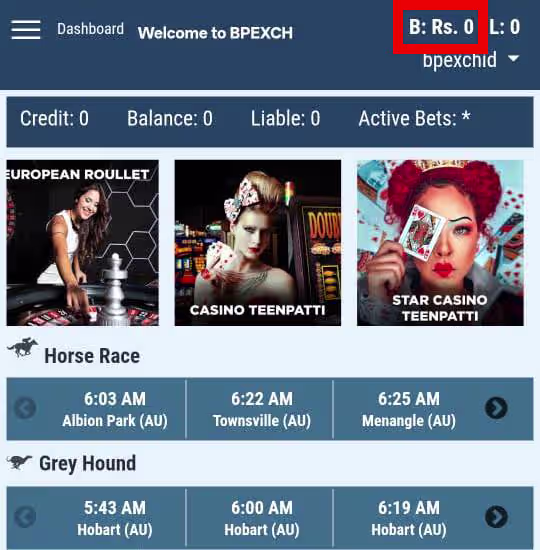 BetPro Balance Display Area Screenshot