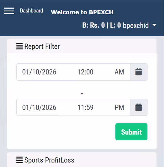 BetPro Profit and Loss Statement Screenshot